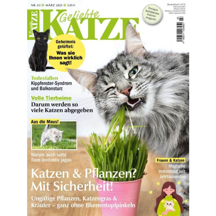 Geliebte Katze zum Testen (2 Ausgaben)